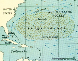 Sargasso map